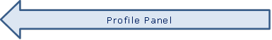 Profile Panel